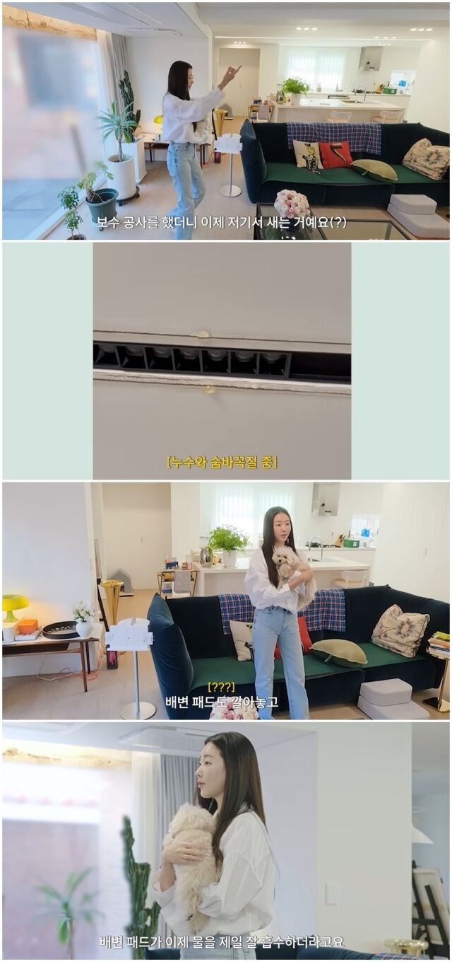 김사랑./유튜브