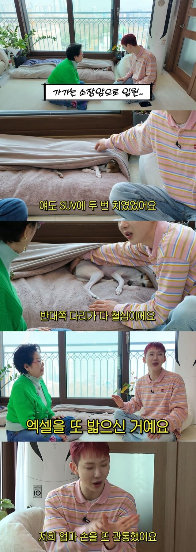 / 유튜브 채널 '순풍 선우용여'