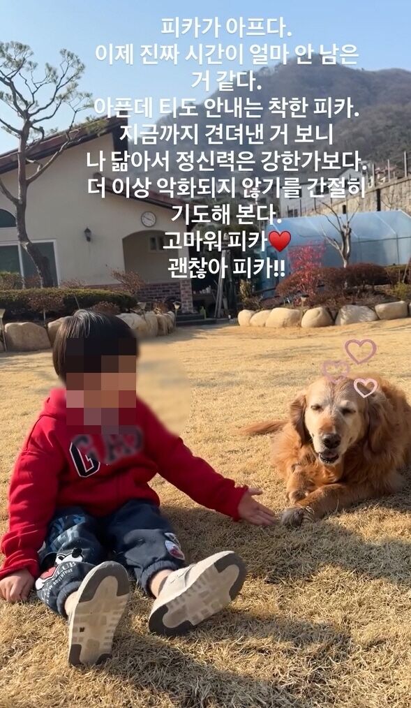 이상화 반려견./소셜미디어