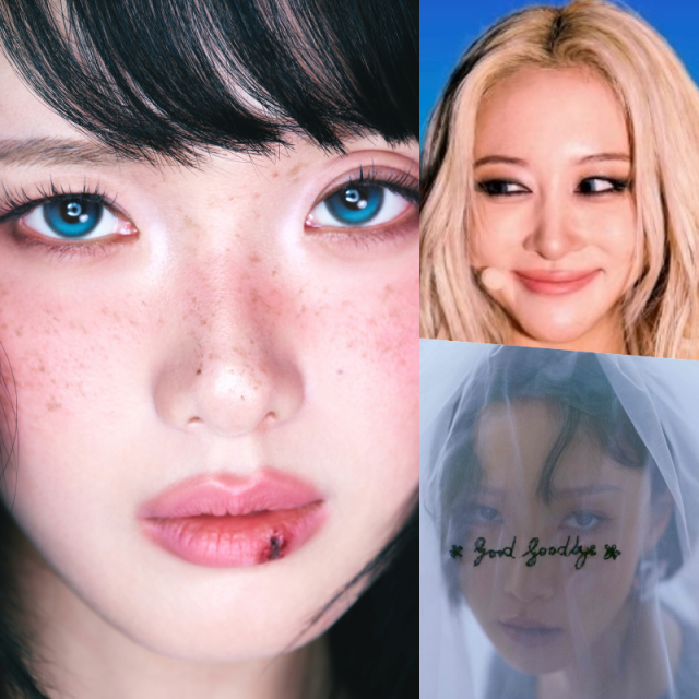 가수 한로로, 그룹 우주소녀 멤버 다영, 마마무 화사 / 어센틱, 워터밤 공식 소셜미디어, 피네이션