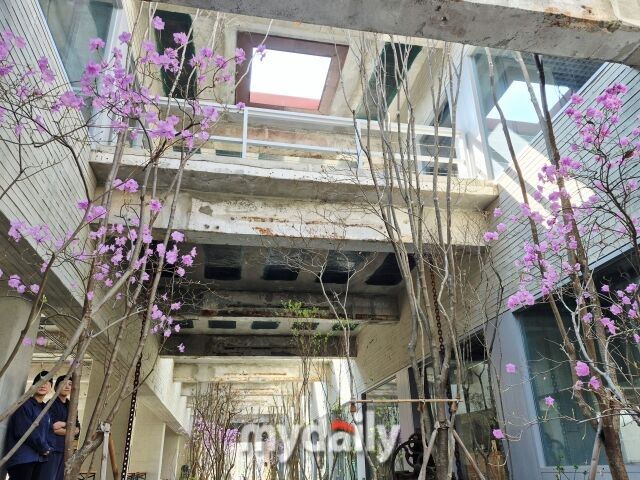 건물 사이의 중앙 정원이 개방감과 계절감을 살렸다. 내부에서도 분홍색 진달래꽃과 함께 봄을 느낄 수 있다. /방금숙 기자