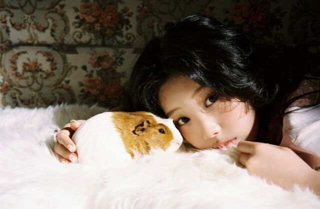 아일릿 / 빌리프랩