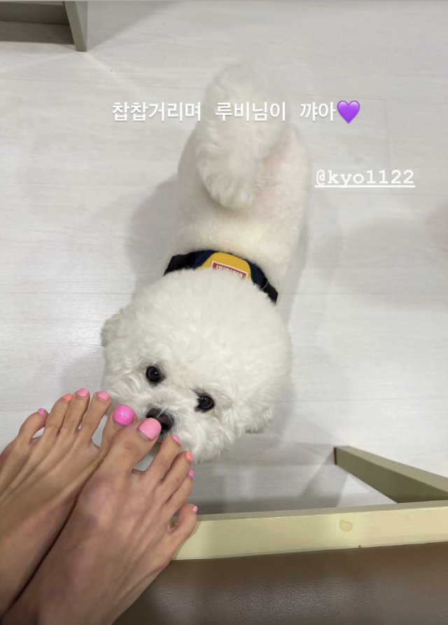 조여정이 송혜교와 함께한 소소한 일상을 공개했다. / 조여정 SNS