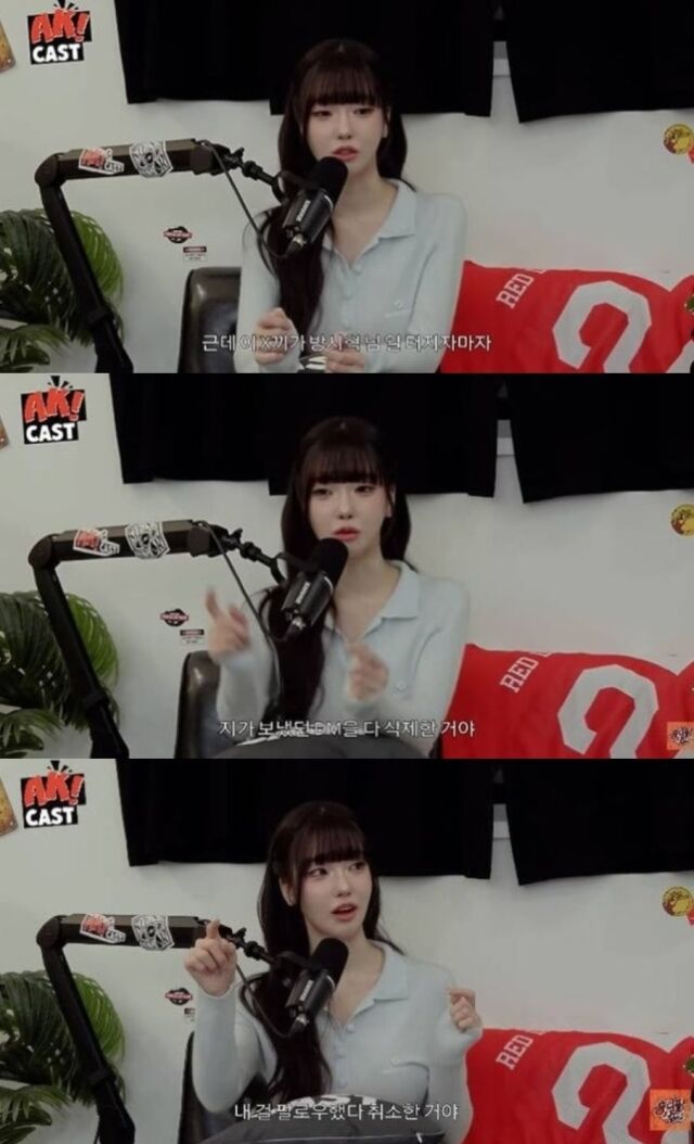 SOOP BJ 과즙세연(본명 인세연)이 하이브 방시혁 의장과의 미국 로스앤젤레스(LA) 동행 사건 이후 벌어진 연예계의 뒷이야기와 각종 논란에 대해 직접 입을 열었다./유튜브 채널 '뷰티풀너드'