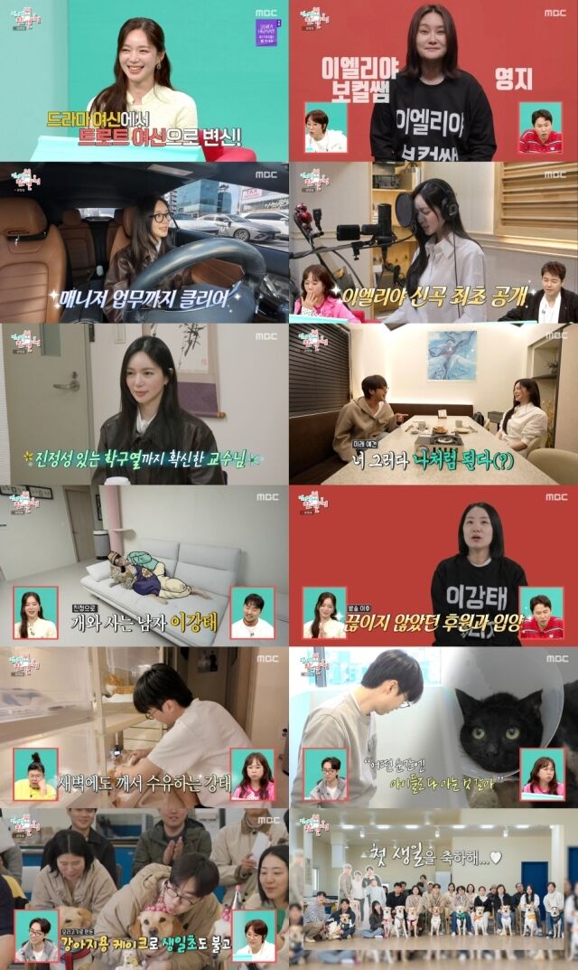 MBC 예능 프로그램 ‘전지적 참견 시점’