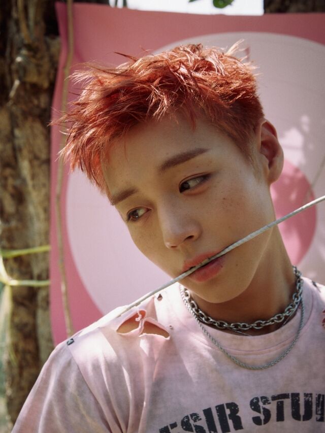 / YY엔터테인먼트