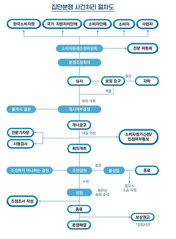 집단분쟁조정 사건 처리 절차도. /한국소비자원