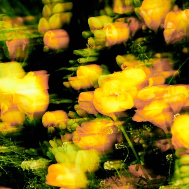 동해 / 오드엔터테인먼트