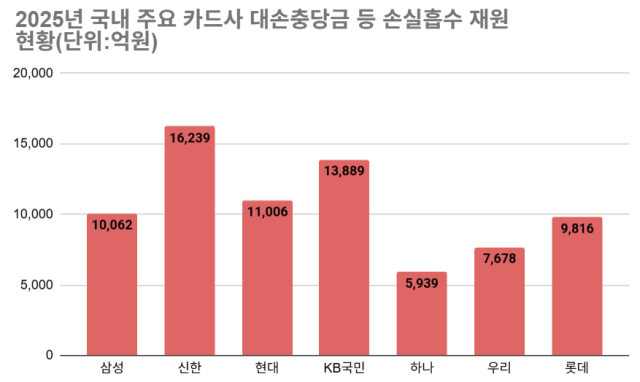 지난해 국내 주요 카드사 대손충당금 등 손실흡수 재원 현황 /그래픽=최주연 기자