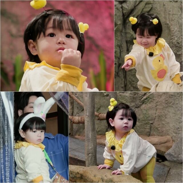 / KBS 2TV '슈퍼맨이 돌아왔다'