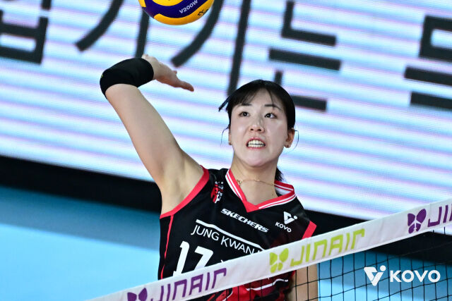 정관장 정호영./KOVO