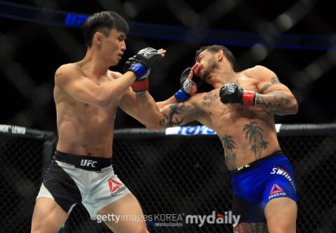 최두호 아빠-아들 더비, 예측 승률 단 0.6% 차이! 벨라토르 더비는 피코 우위? UFC 327 배당률 뜯어보기