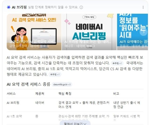 AI 브리핑(요약 서비스). /네이버 캡처