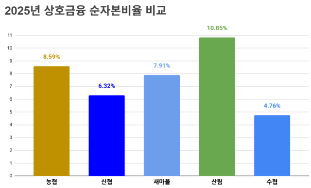 2025년 상호금융권 순자본비율 비교. /정수미 기자