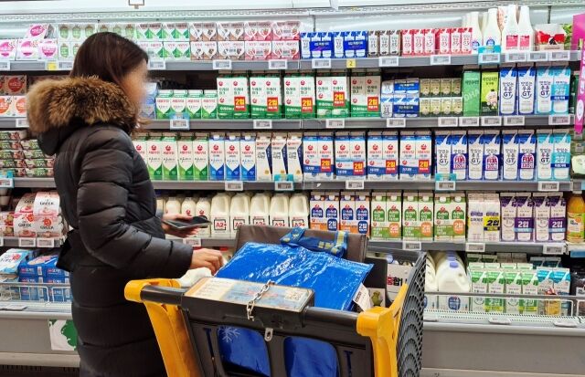 서울 시내 한 마트에서 고객이 우유를 고르고 있다. /방금숙 기자