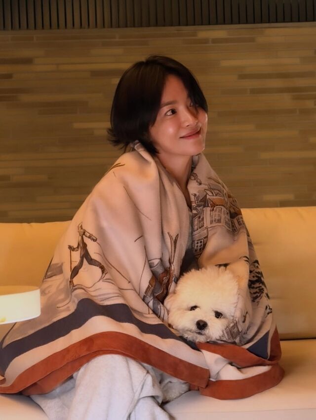 송혜교가 반려견과 함께한 따뜻한 일상을 공개했다. / 송혜교 SNS