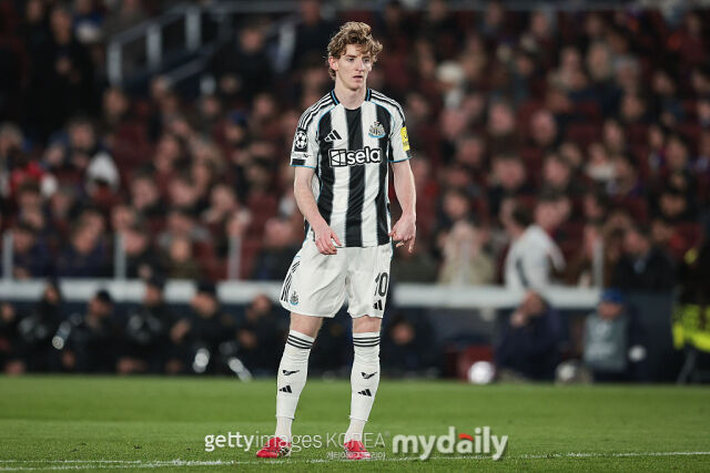 앤서니 고든/게티이미지코리아