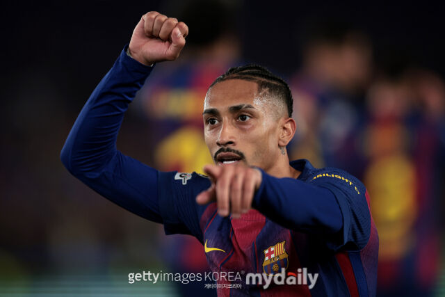 하피냐./게티이미지코리아