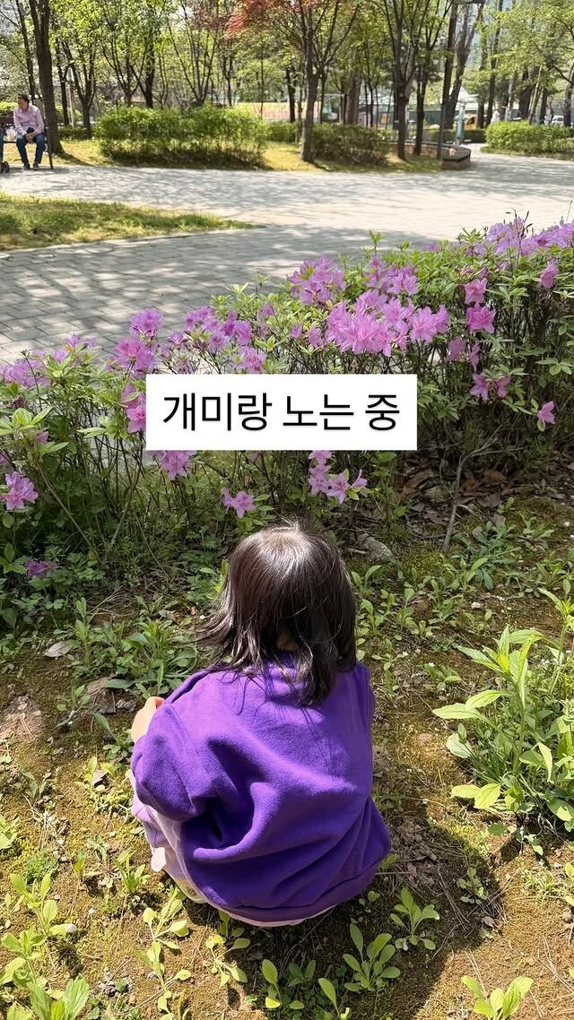 방송인 박수홍과 김다예 딸 재이 양의 평온한 일상이 전해졌다. / 김다예 소셜미디어