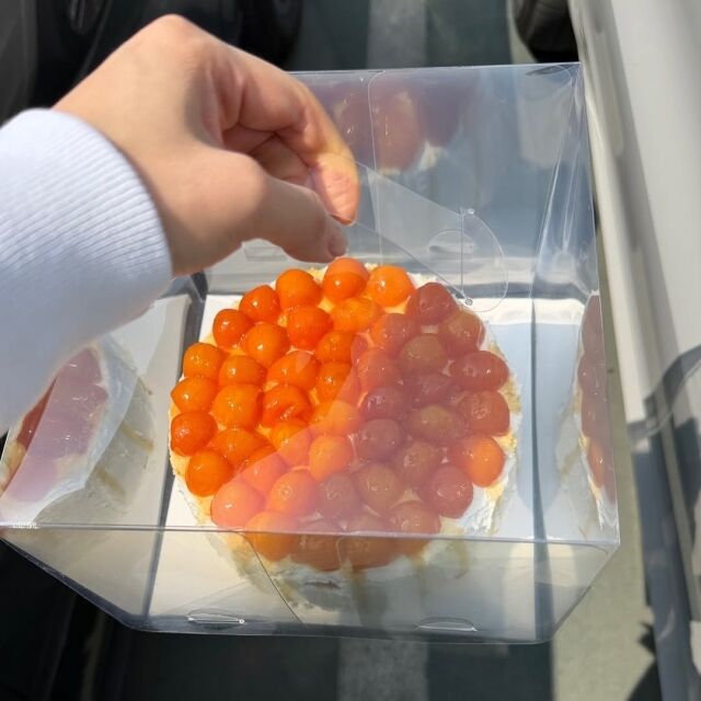 그룹 티아라 멤버 겸 가수 효민이 따뜻한 선행을 전했다. / 효민 소셜미디어