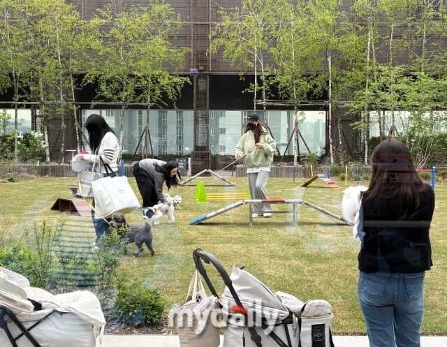 야외 하늘정원에서 열린 장애물 체험 리허설에서 반려견들이 잔디 위를 달리고 있다. /방금숙 기자