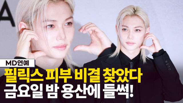 필릭스 / 마이데일리