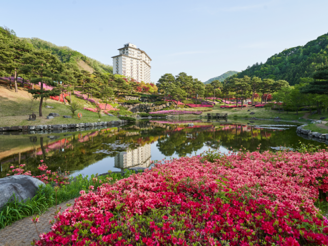 /엘리시안 강촌 리조트