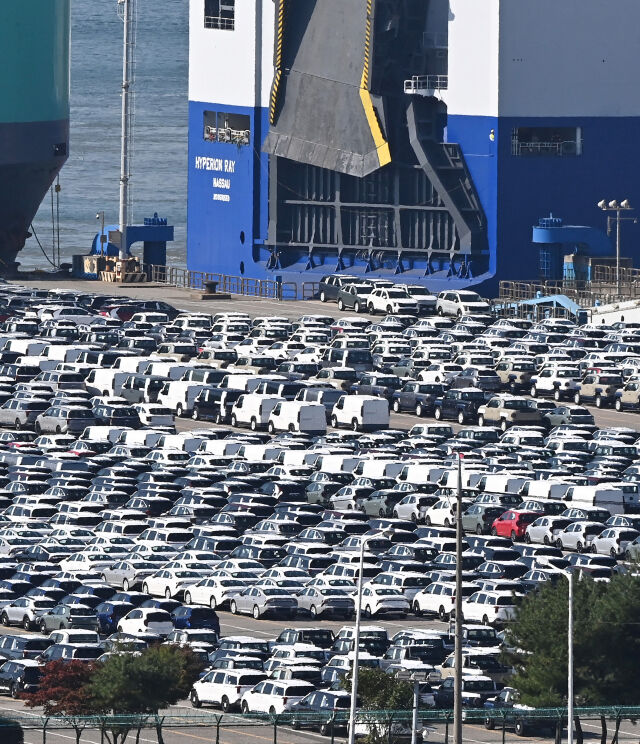 경기 평택항에 수출용 자동차가 세워져 있는 모습/뉴시스