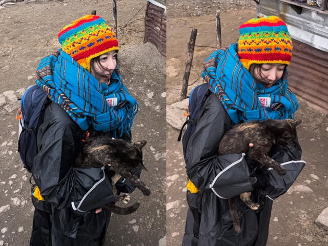 구혜선 / 구혜선 소셜미디어 