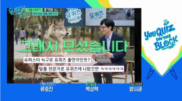 23일 tvN '유 퀴즈 온 더 블럭'(이하 '유퀴즈') 측은 최근 화제의 중심에 선 '국민 늑대' 늑구를 직접 생포한 수의사가 다음 회차 게스트로 출연을 확정 지었다고 밝혔다./tvN '유 퀴즈 온 더 블럭'
