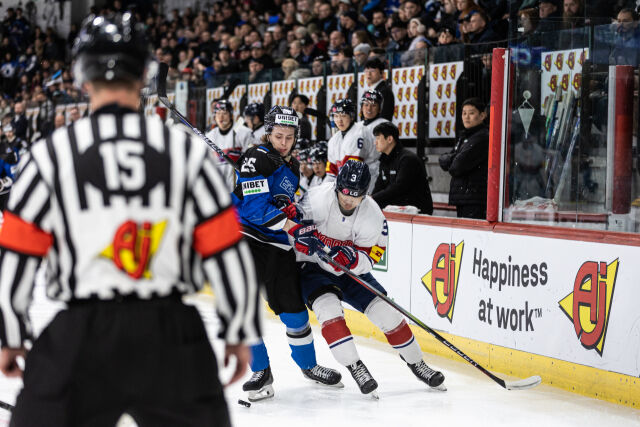 한국과 에스토니아의 2025년 경기장면./대한아이스하키협회 제공