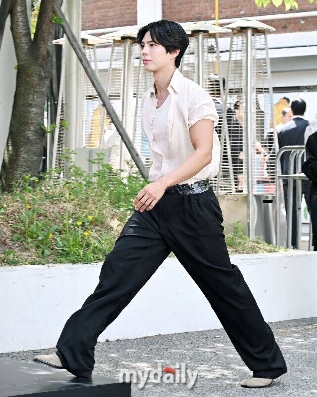 박보검 / 마이데일리