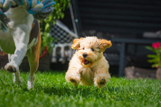 /게티이미지뱅크
