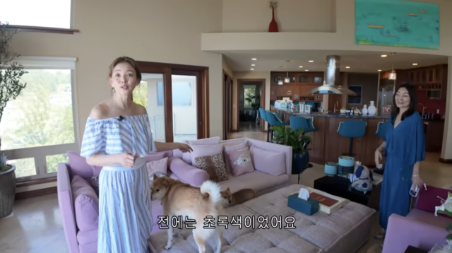 유튜브 채널 '야노시호'