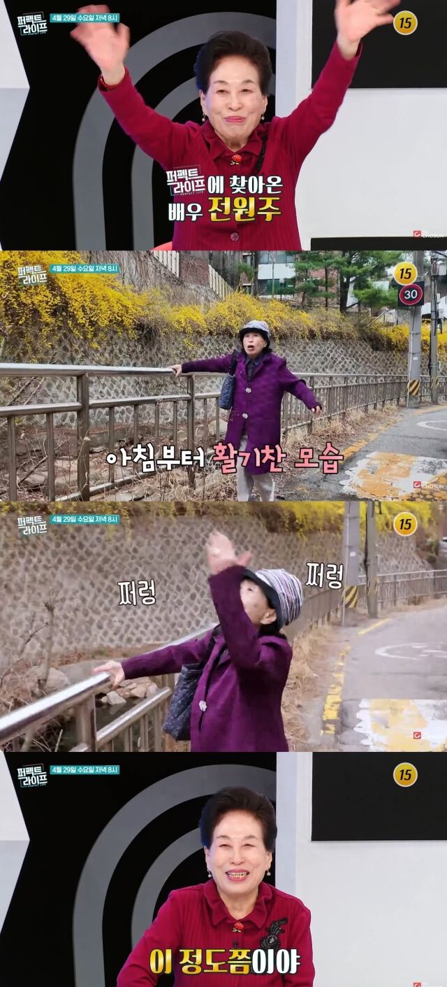 TV조선 '퍼펙트 라이프' 예고편/TV조선 '퍼펙트 라이프' 예고편 캡처