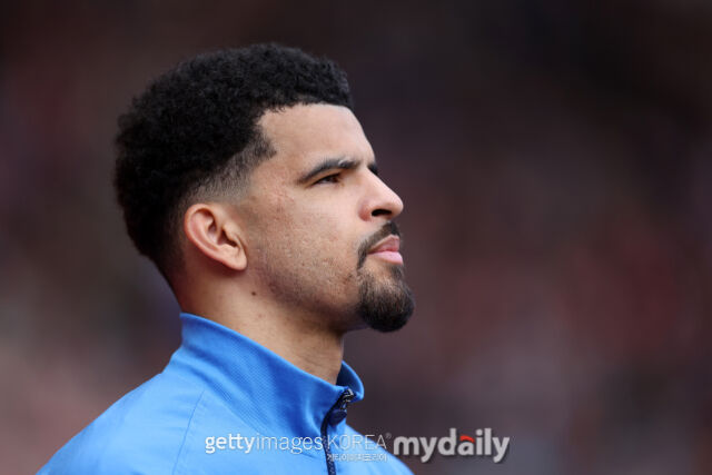 영국 '데일리 메일'은 토트넘 홋스퍼 공격수 도미닉 솔란케가 시즌 아웃됐다고 밝혔다. /게티이미지코리아