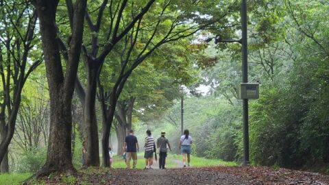 미사경정공원서 &lsquo;숲 체험&middot;가족러닝&middot;문화교실&rsquo; 운영&hellip;지역사회와 상생