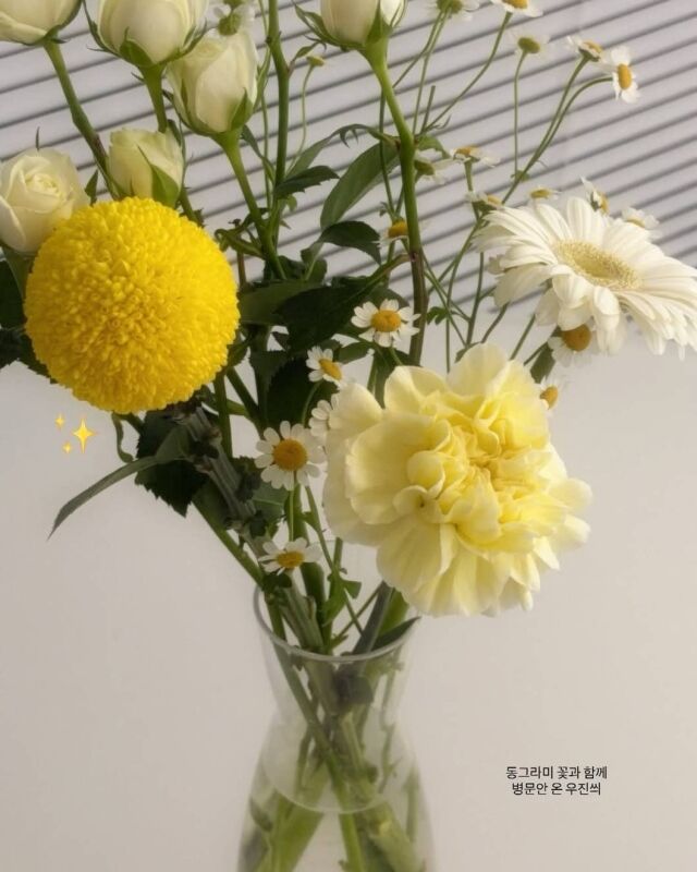 / 지연 인스타그램