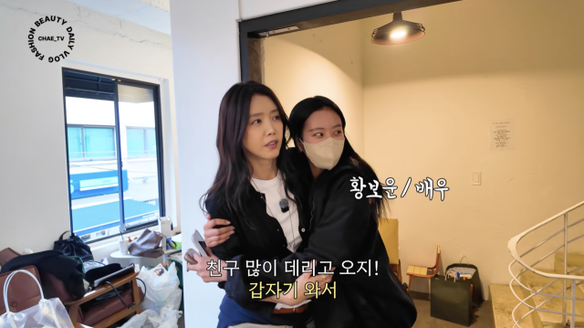 유튜브 채널 '채정안TV'