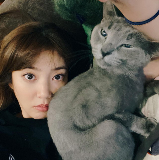 “李圭赫♥” 孙丹菲就遗弃宠物猫的指控回应道：“你觉得我会遗弃它吗？”