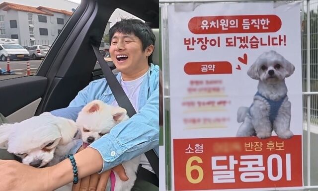 / MBC '나 혼자 산다'