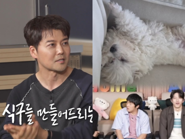 '나혼산'/MBC