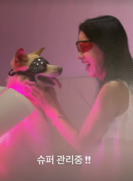 엄정화 SNS