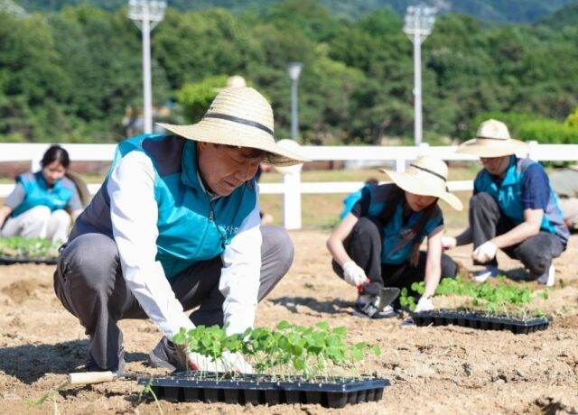 우희종 회장이 5일 케나프를 식재하고 있다. /한국마사회