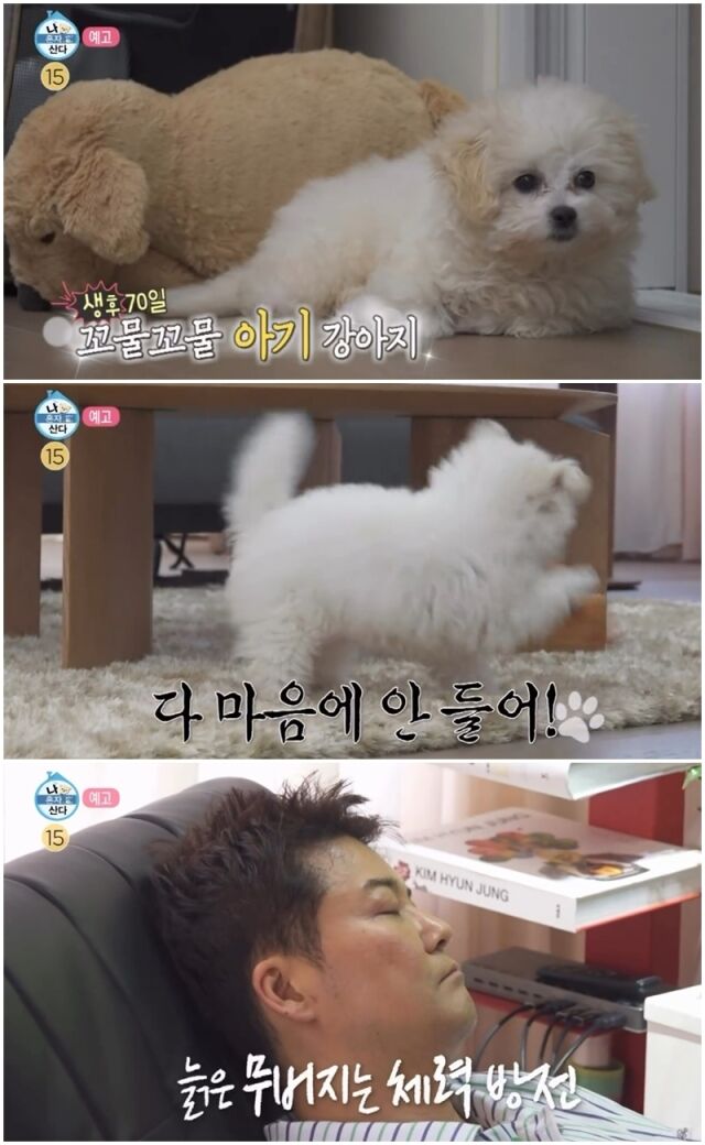 전현무./MBC
