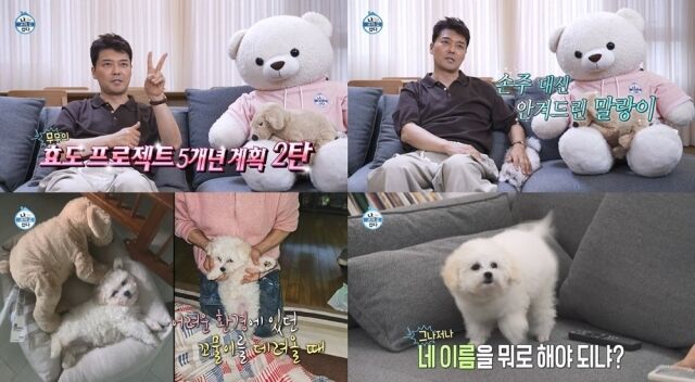 '나혼산'/MBC