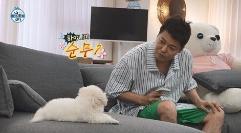 '나혼산'/MBC