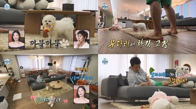 '나혼산'/MBC