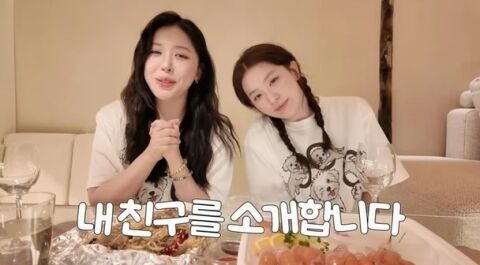 레드벨벳 슬기, 사촌동생 故 수키진 비보에&hellip;유튜브 쉬어간다