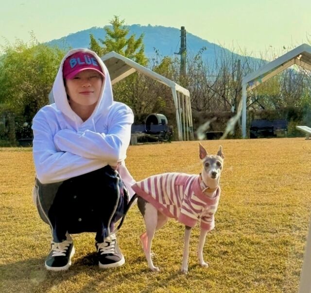 / 입짧은햇님 SNS